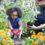 DIY Garden Improvement Projects