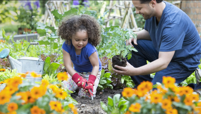 DIY Garden Improvement Projects