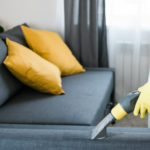 Sofa Cleaning